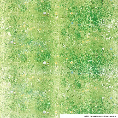 P1057 フィールドボイル カラー画像1
