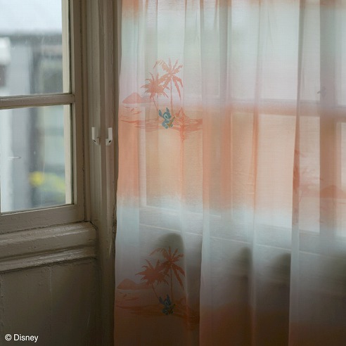 サンセットボイル メイン画像