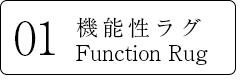 機能性ラグ