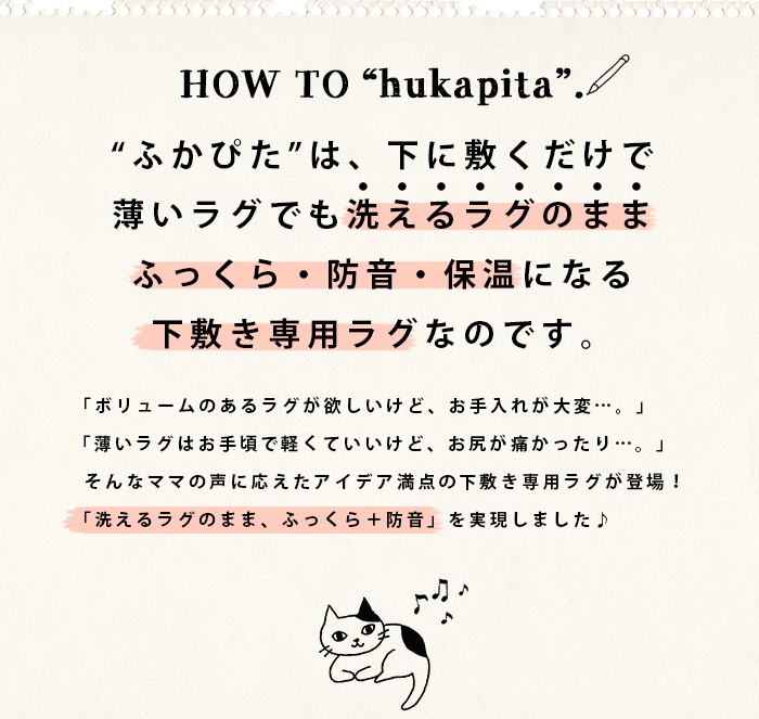 下敷き専用ラグ「ふかぴた」とは？