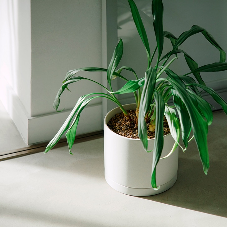 KINTO キントー プラントポット 170×160mm (アースグレー)