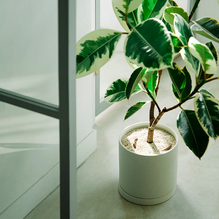 KINTO キントー プラントポット 200×195mm (アースグレー)