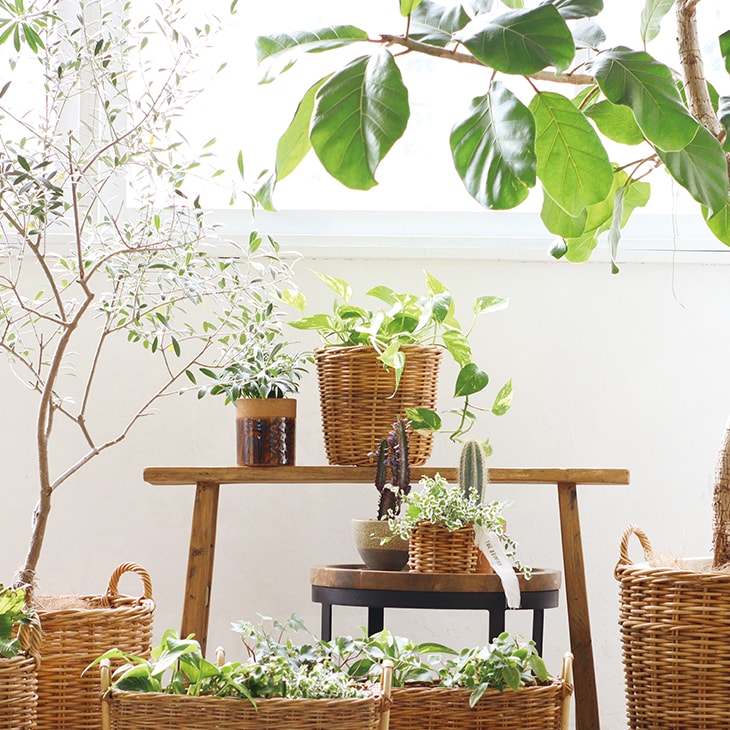 クレエ プランターバスケット 6号鉢用 アラログ