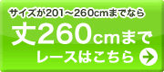 丈～300cmを選ぶ