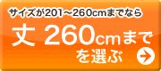 丈～300cmを選ぶ