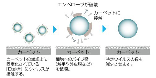 クレンゼ加工のメカニズム